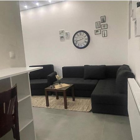 Tepic Garni Hotel Temerin 外观 照片