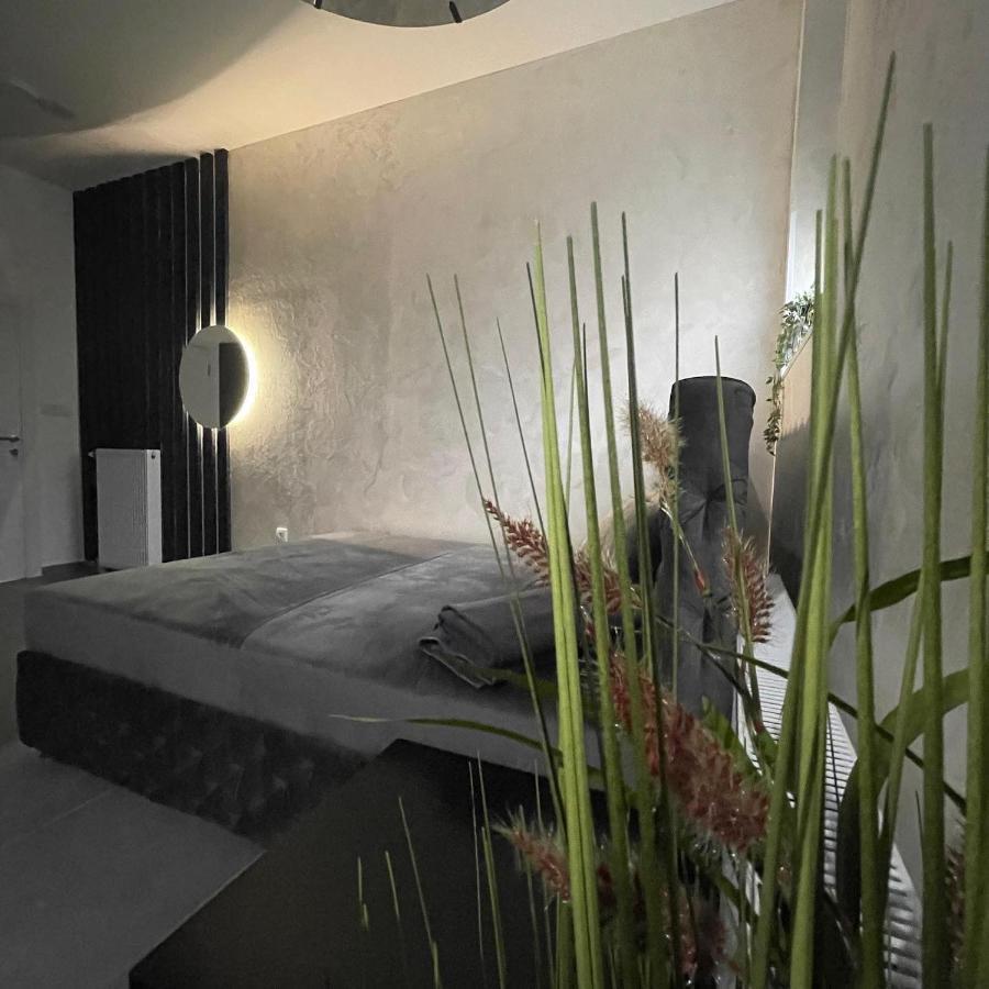Tepic Garni Hotel Temerin 外观 照片