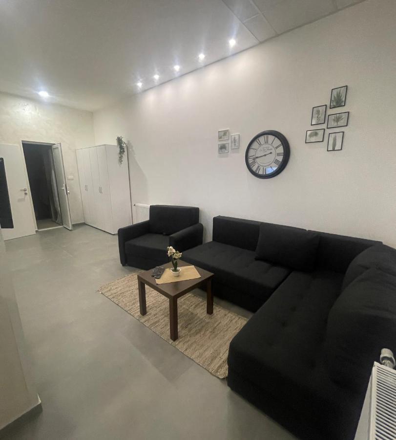 Tepic Garni Hotel Temerin 外观 照片